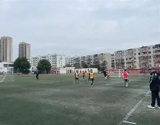 马赛训练开放日，今晨扳平良机引欢呼，CBA常规赛在即，医务组通报恢复的简单介绍